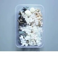 Прозрачный цвет картины Dry Flower 16