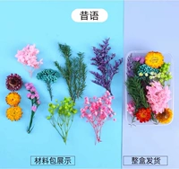 Армейское зеленое прошлое