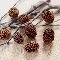 6 фруктов соты