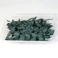 Вечное резюме вы листья гали синий