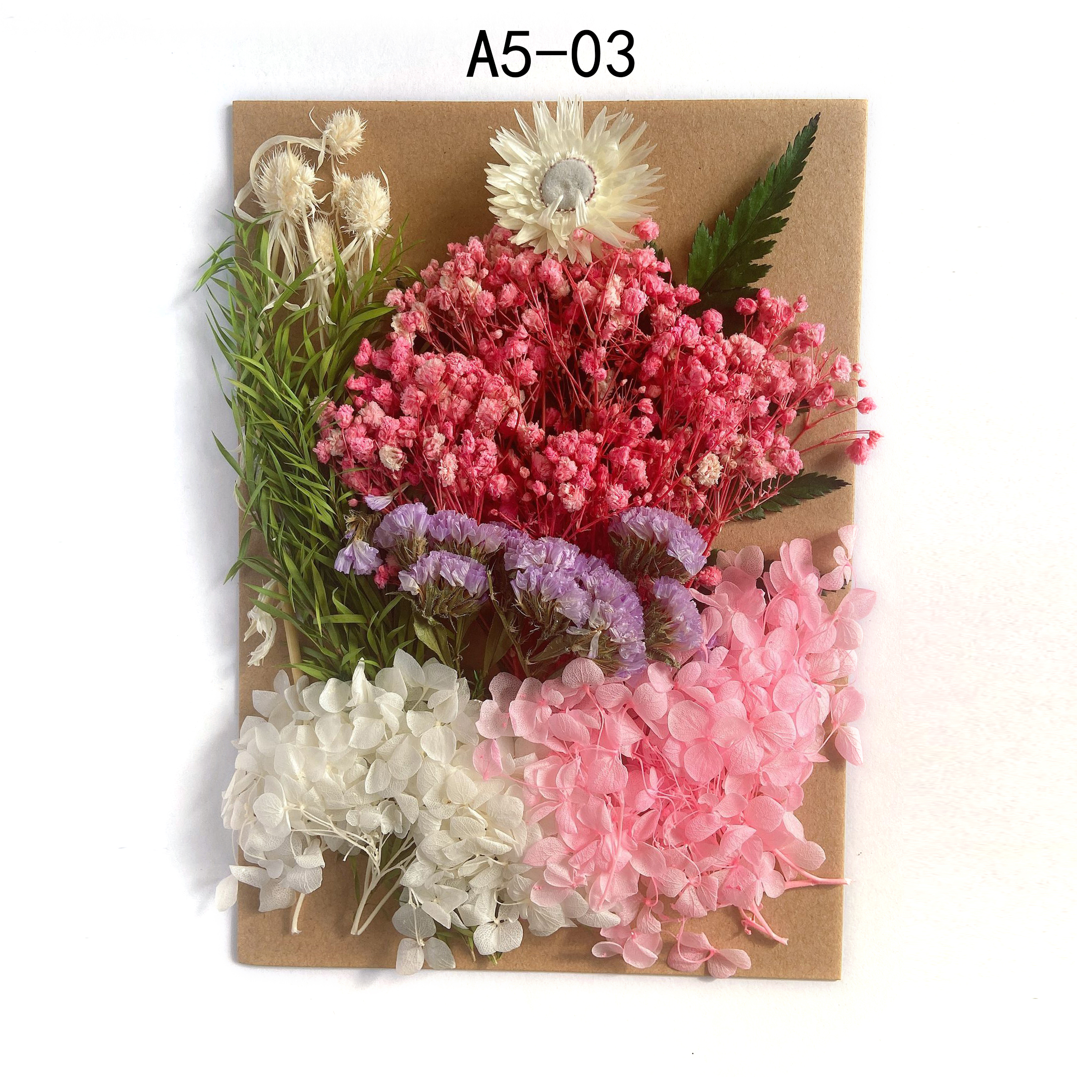 Tuanjian Yongsheng Dried Flower Diy Material Package Painting With Photo Frame Circular Fan Greeting Card Handmade Bouquet Real Flower Epoxy Embossing Bag display picture 2