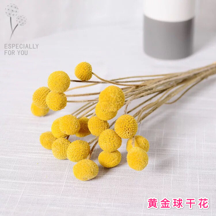Yonnais gold balls ins Nordic wind natural flowers dry flowers small bouquet Home Decorative End Afternoon Handmade Diy Flower Arrangement-Taobao