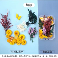 Светло -зеленый цвет