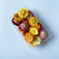 Коробка хризантема