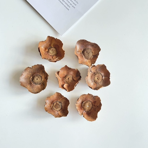 Восемь лет старого магазина более 20 цветов цветной сосновой сушено