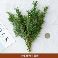 Вечная жизнь тысячи мелких частей