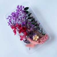 Любовь Шен Зивей → Сухие цветы