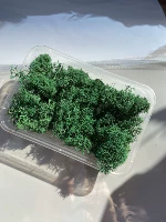 Зеленый зеленый мох 20G