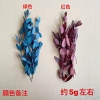 Purple -Red → Fine и Leaf около 5G