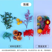 Темно -серый гусь