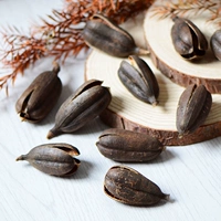 15 Мечей скорлупы