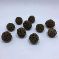 Фрукты кленового дерева составляют около 2 см10 капсул