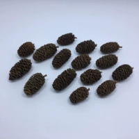 Shuiyangzi около 3,5 см10 капсул