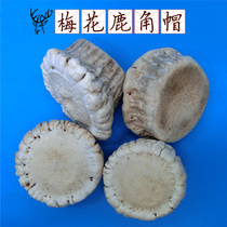 Jilin plum deer horn hat powder breast dredging nodule antler powder deer disc antler through milk