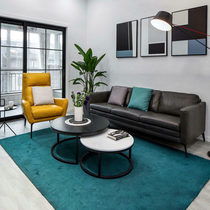 Nordic Carpet Living Room Tea Table Large Area Bedroom Bedside Home Full Bunk With Modern Ground Mat Peacock Blue Water Wash