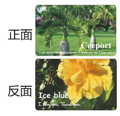 Zero Limited Cleaning Card Bottle Coconut Tree Twin Florida Flower CEEPORT Zero PVC Card Thick Trust