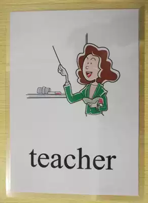 (Occupation)Children's English word learning big card game flash card color pattern scallop seal teacher teaching aid