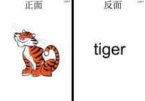 Double-sided) Cambridge International childrens English 1234 words large card over plastic teaching aids first edition