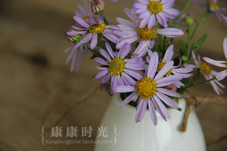 {康康 时} Bình treo màu trắng tinh khiết hình quả trứng với dây gai bằng gốm zakka - Vase / Bồn hoa & Kệ chậu cây cảnh bằng gốm sứ