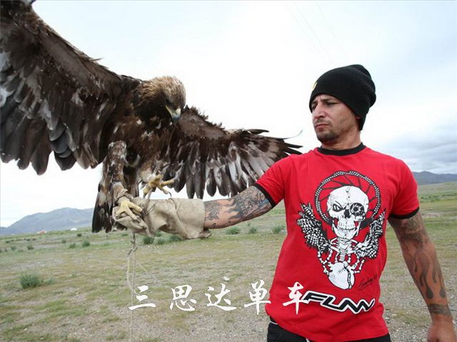 Guidon de vélo - Ref 2343551 Image 18