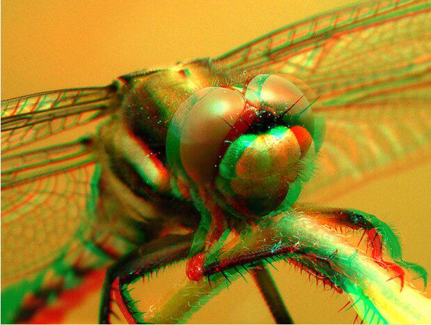 Lunettes 3D      - Ref 2622521 Image 14