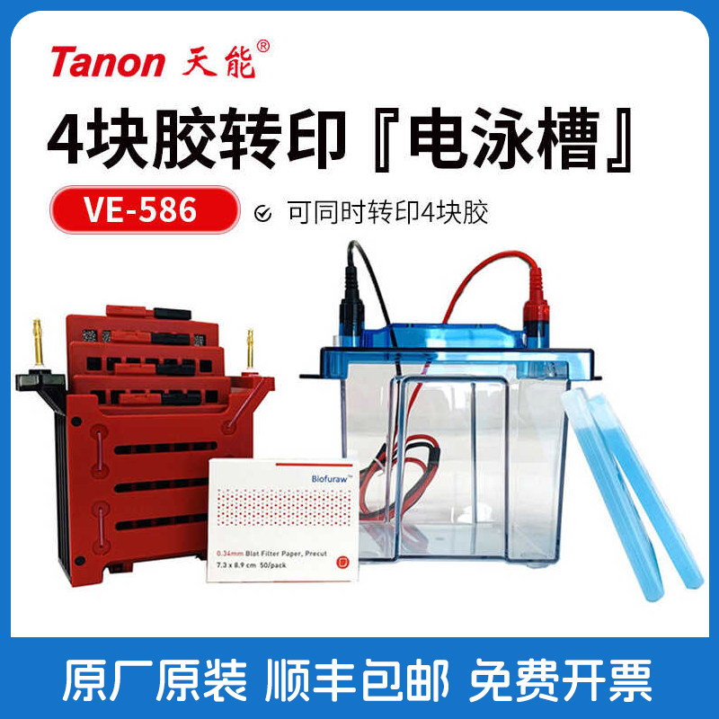 Tanon天能 VE-586 转移电泳槽 WB湿转 可同时转印4块胶