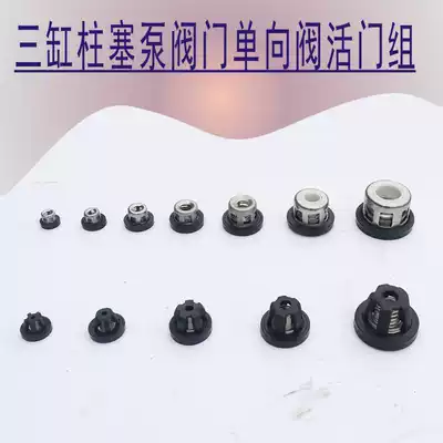 26 60 80 120 type three-cylinder plunger spray pump accessories Suction valve check valve valve valve valve group check valve