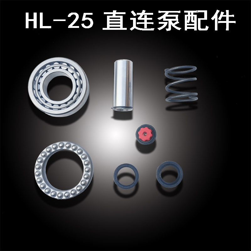 HS Haishun HL25 type direct pump Direct pump Agricultural spray pump Spray machine accessories spring seal valve group