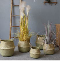Nordic seaweed woven flower basket piano leaf Banyan Banyan tortoise folding storage basket ornaments green flower pot