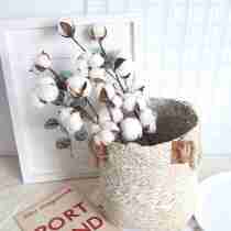 Hipster simulation flowers 10 head natural cotton branches home decoration fake flowers dried flowers window floor flowers