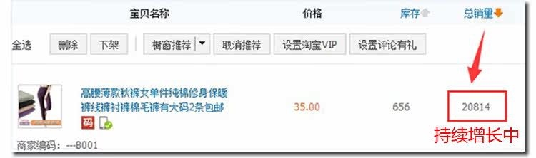 Pantalon collant simple en coton - Ref 749661 Image 34