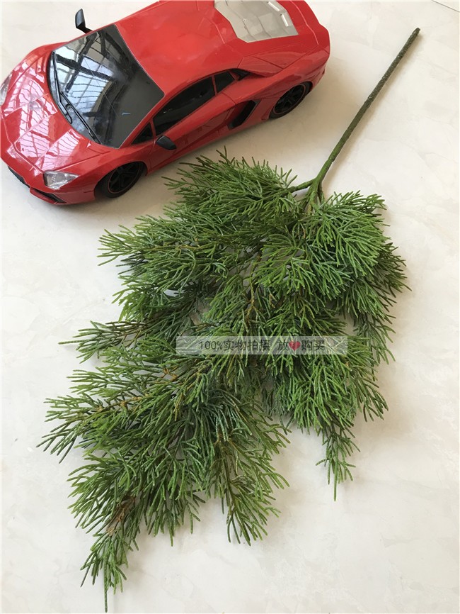 Mô phỏng kim thông, cành thuja, chậu giả, cành thông, đạo cụ, hoa khô, hoa nhựa, lá thông, lá giả - Hoa nhân tạo / Cây / Trái cây cây xương rồng giả