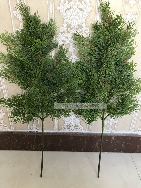 Mô phỏng kim thông, cành thuja, chậu giả, cành thông, đạo cụ, hoa khô, hoa nhựa, lá thông, lá giả - Hoa nhân tạo / Cây / Trái cây