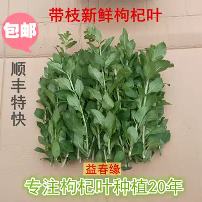Fresh wolfberry leaves, wolfberry branches, half a catty of Shunfeng Express tulou specialty vegetables picked on the same day