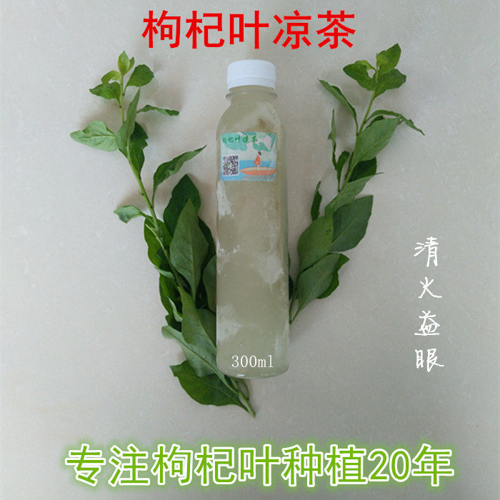 Fresh edible medlar leaves branches with leaves to make water add icing sugar, pure natural medlar leaves cool tea clear to fire