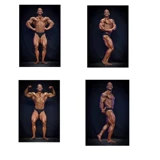 5 см сантиметр CBBA Последние правила Стандартные традиционные брюки бодибилдинга бодибилдинг бодибилдинг бодибилдинг.