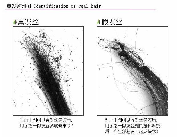 Extension cheveux - Ref 219957 Image 10