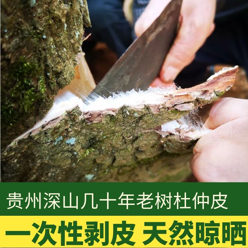 (Mountain tip lily) Guizhou deep mountain eucommia peel decades old eucommia disposable peeling eucommia 500g