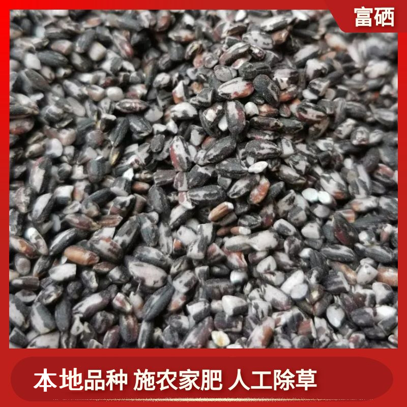 (Shanjian Lily) Selenium-enriched black glutinous rice 2021 new rice Guizhou local variety, artificial weeding with farmyard manure