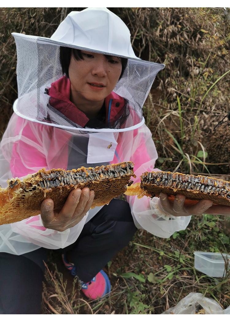 (Mountain Tip Lily) Guizhou Original Forest Cliffs Cliff Earth Honey Rock Honey Rock Honey Hive Honey 500g