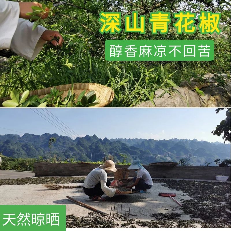 (Mountain Lily) Green Zanthoxylum bungeanum Guizhou deep mountain Zanthoxylum bungeanum natural drying 100g