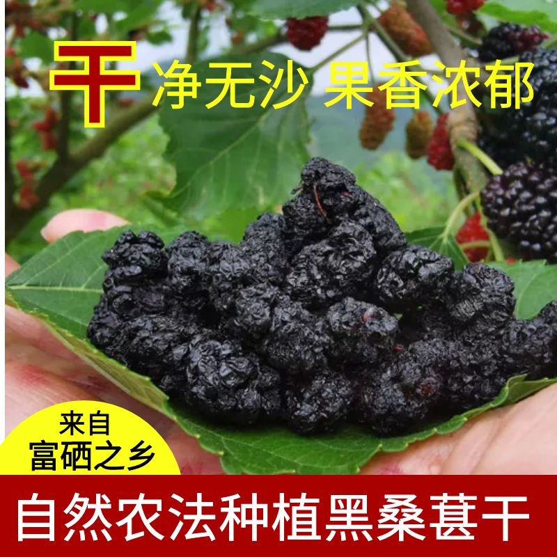 (Mountain tip lily) black mulberry dried from selenium-rich town traditional planting, farmhouse fertilizer artificial weeding