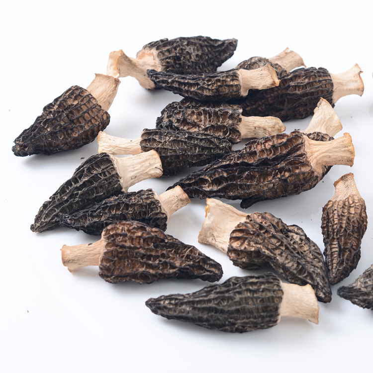 (Shanjian Lily) Guizhou Shenshan Morel Half-stalk Farmer's Dry Goods 50g