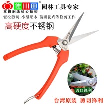 Sagawa Tian Fruit Shear Fruit Cut Grape Flower Cut Cut Flower Pruning Pepper Citrus Pepper Picking Fruit Picking Scissors