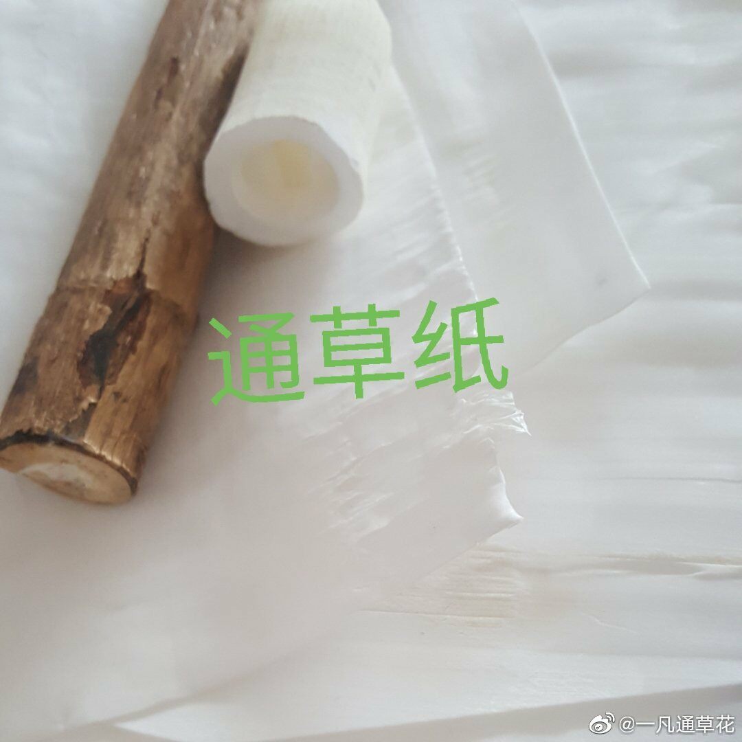 Material Package] Hand-cut Tongcao Paper Yangzhou Tongcao Flower Raw Materials Simulation Flower Diy Tongcao Painting New Product