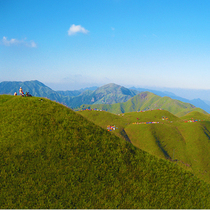 DandeLion Dandelion postcard New original Wugong Meadow Wugong Mountain Pingxiang Jiangxi