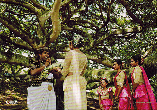 Idle Halal Bin Leka Poor Tour Postcard Wedding