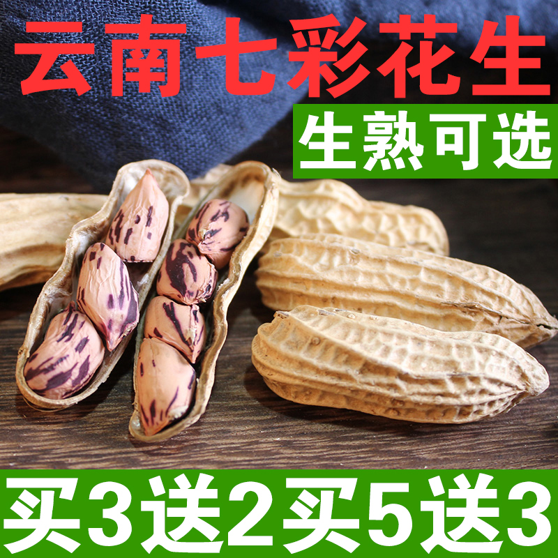 Buy 3 Sends 2 7 Colorful Peanuts Fresh with shell Peanut Seeds 2021 New Yunnan Color Peanut Fragrant Sweet Peanut rice
