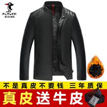 Woodpecker middle-aged mens leather jacket stand collar leather jacket Haining leather coat casual slim slim short autumn