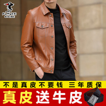 Woodpecker Haining mens leather jacket middle-aged leather jacket lapel casual short leather jacket slim jacket slim jacket